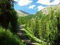 0242Lac Ste Marguerite